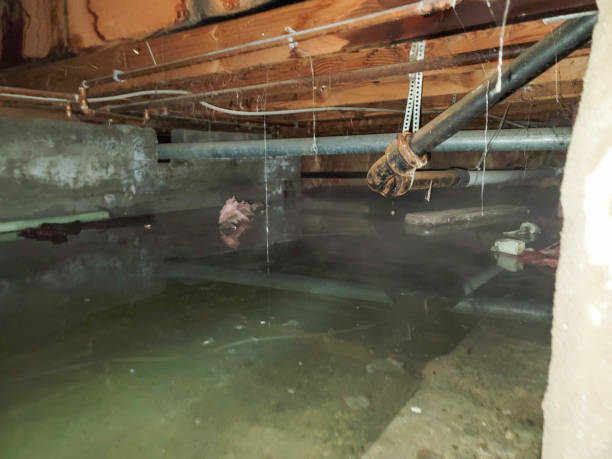 Best Ceiling water damage repair  in Nth Bend, OR