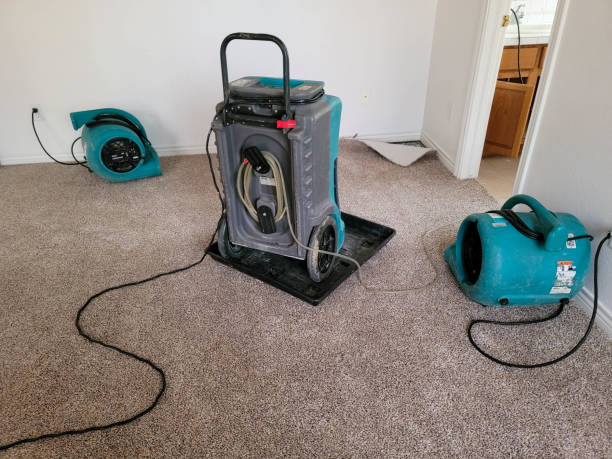 Best Water damage restoration near me  in Nth Bend, OR