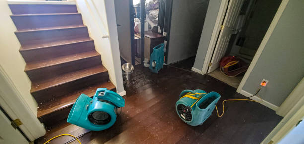 Best Basement water damage restoration  in Nth Bend, OR