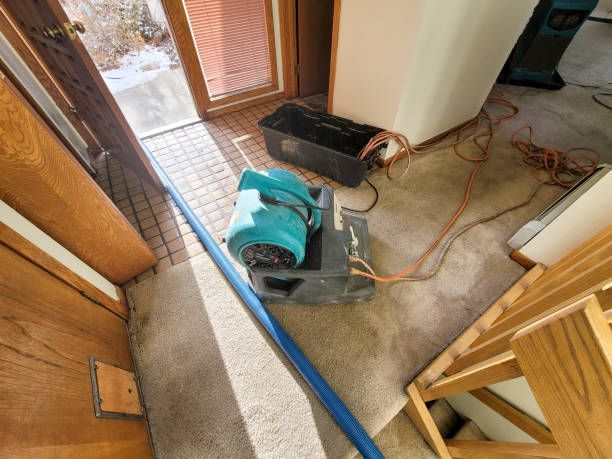 Best 24-hour water damage restoration  in Nth Bend, OR