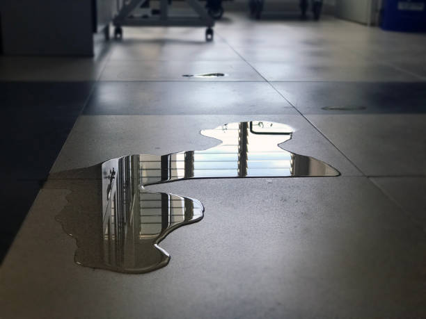 Best Commercial water damage restoration  in Nth Bend, OR