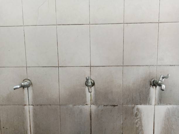 Best Local water damage restoration  in Nth Bend, OR