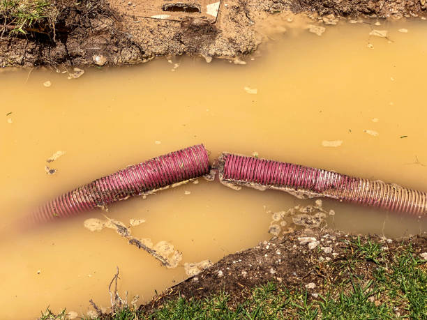 Water damage restoration process in North Bend, OR